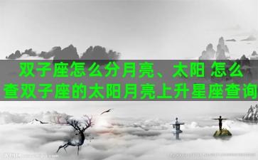 双子座怎么分月亮、太阳 怎么查双子座的太阳月亮上升星座查询